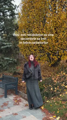 Inca putin 😅 #craciun #decembrie #fy 