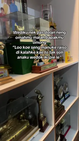 Sak repotan cah #muraibatuindonesia #muraibatu #murai #kicaumania #madiun24jam #kenari #kacer 