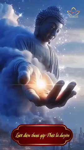 Nam mô a di đà phật  #nammoadidaphat#nq3 