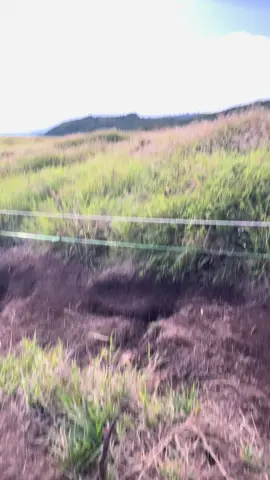 gunung terfavv setelah merbabu😌 #pendakigunung #pendakifomo #gunungsumbing 