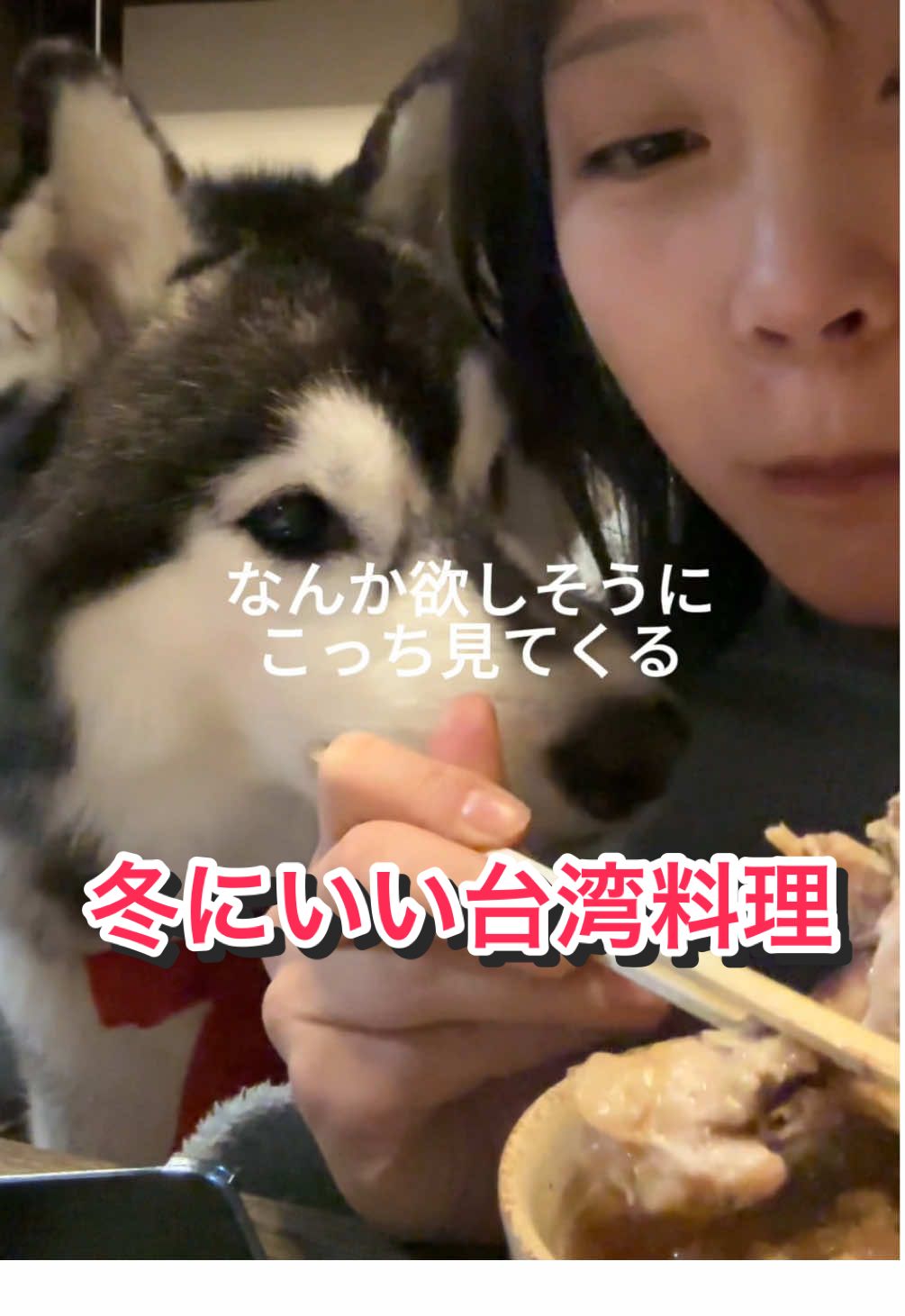 材料は鶏もも肉でも手羽先でも、スペアリブでもいけるよ！！ 塩と酒で煮込むだけでもうまい👌 #レシピ #台湾 #犬との暮らし 