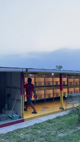 sorean man✨ #promomakanharian #fyp #masukberandafyp #merpatikolongbebas #merpatilovers 