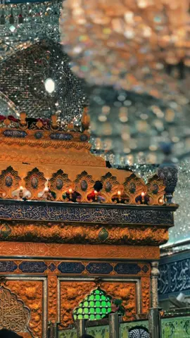 #يافاطمة_الزهراء #كربلاء #ياابوفاضل_اقضي_حاجت_كل_محتاج🙂 #لايكات #رسول_الله @باسم الكربلائي @بمبش السيد♦️bimbsh♦️  @ـحوٌږٱء🤍🎧  @كرار عدنان  @يــاحــسـيـن❤️ 