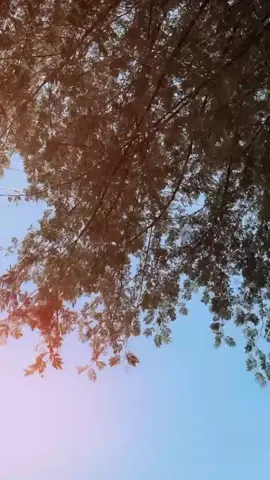 #Noo comment #foryou 