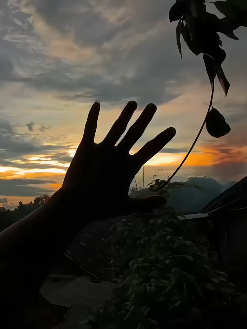 angels like you..🌄🍃🌿 📷 RedmiNote 14 5G #sunset #senja #aesthetic #aestheticvideo #videography 