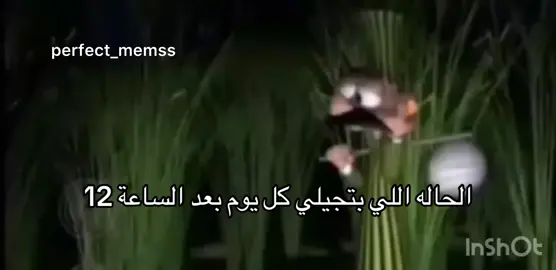 #explore #explor #شعب_الصيني_ماله_حل😂😂 #foryou #fyp 