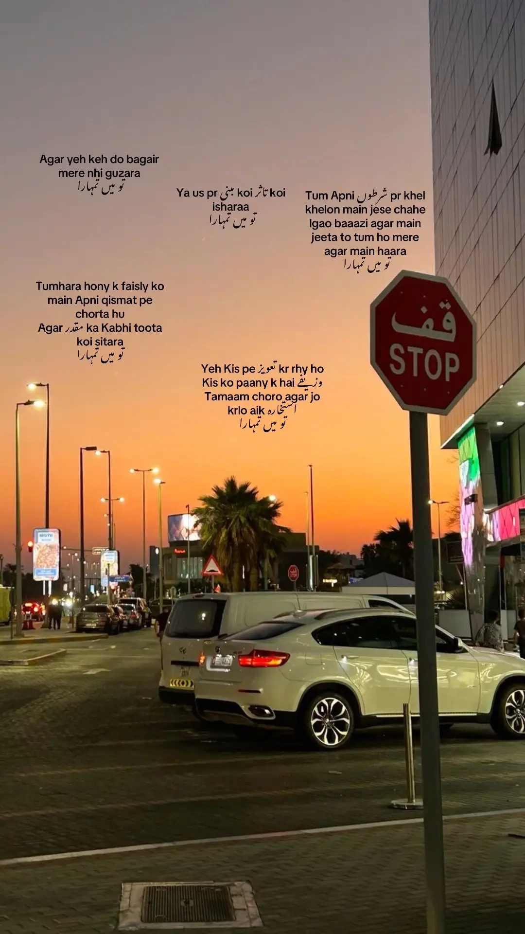 #fyp #tayyabfwcats #unfreezemyacount 