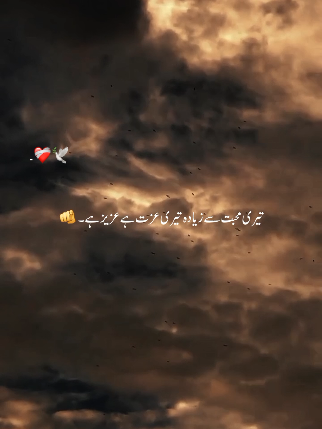 تیری عزت عزیز ہے 🫵🕊️#1millionaudition #aesthetic #foryou #poetrystatus #foryoupage 