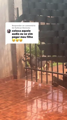 Respondendo a @Kathryn Reinicke as visitas dele😂😂😂#doguinhosdotiktok #paipresente #viralvideo 