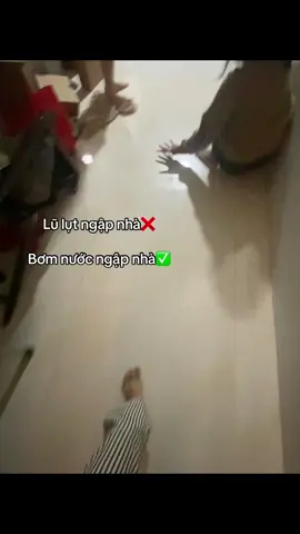 Quá trời roiii#binhdinh #a3#xuhuong#haihuoc 