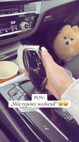 Dorosłe życie jest takie ciężkie 😂 #dc #dlaciebie #weekend #bmw5 #pomeranian 