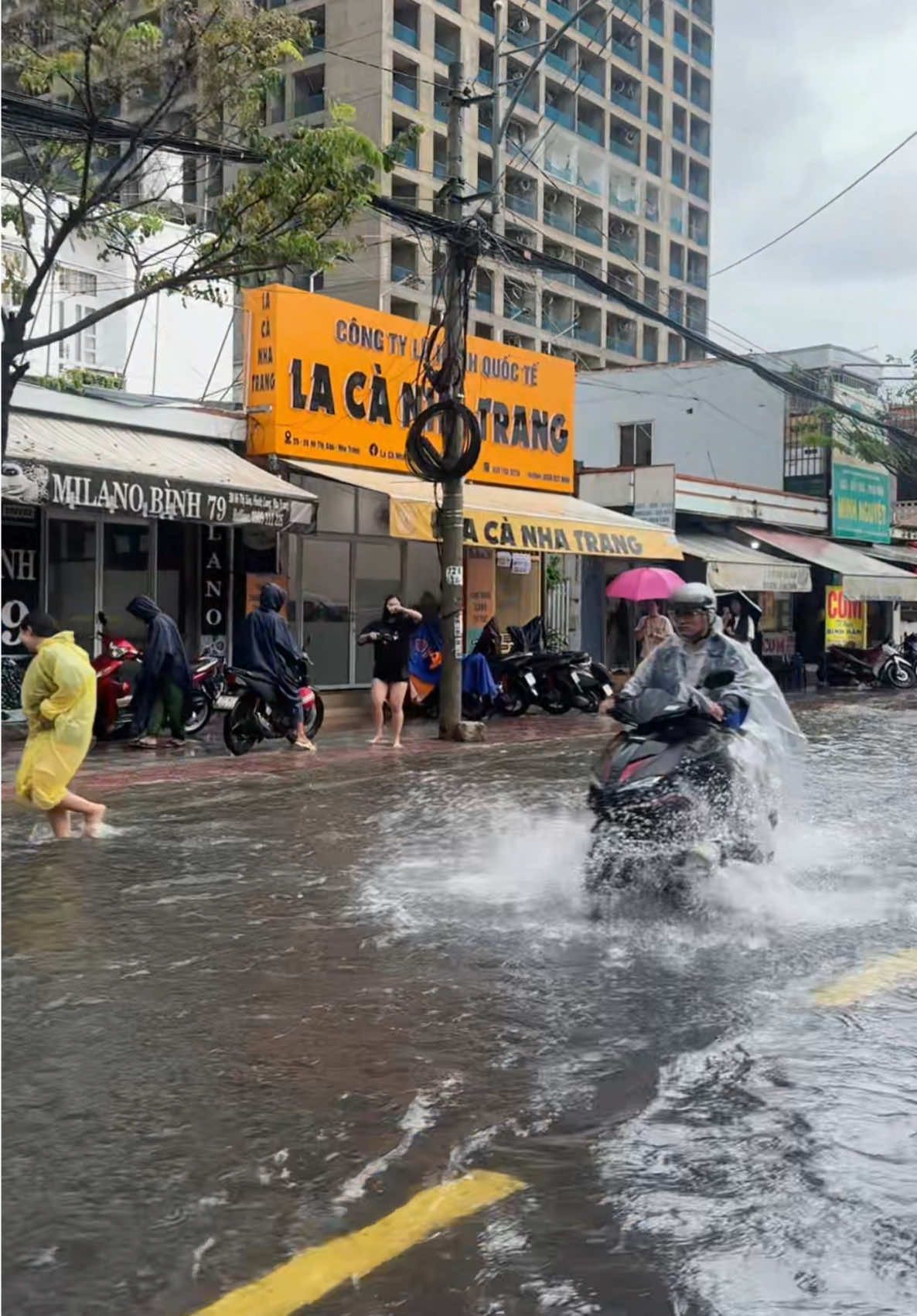 📍Thời tiết Nha Trang ngày 19.11 #lacanhatrang #thoitietnhatrang #thoitietnhatranghomnay #nhatrang #dulichnhatrang 