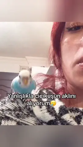 kuşun ruhu gitti 🤣🤣🤣 #komedialemi #komedi #mi̇zah #funny #şaka 