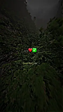 #الغربة #تصميم_فيديوهات🎶🎤🎬 