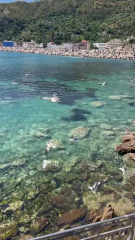 #السلف_الصالح #السلف_الصالح #