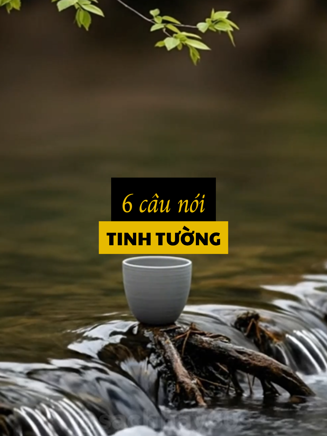 Sáu câu nói tinh tường, sáu hạt giống trí tuệ, mà chỉ cần bạn hiểu được ba điều trong số đó, tâm bạn sẽ nhẹ đi, những nút thắt lâu nay sẽ dần mở ra. Từ đó về sau cuộc sống có thể sẽ thuận buồm xuôi gió hơn, tài vận tự nhiên mà vượng, còn lòng bạn sẽ an hơn từng ngày #trietlycuocsong #baihoccuocsong #chanly #phattrienbanthan #truyencamhung #sachhay60s