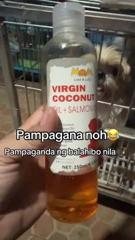 Try this if you have cats and dogs! #foryourpage #fypシ゚viral #foryoupageofficiall 