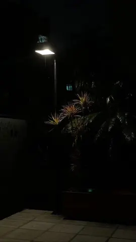 #𝗱𝗵𝗮𝗳a͜͡r͜͡🍂 #somalilyrics🌺😕💎 #jawi_bila🌊❤️🌴 #fouryoupage 