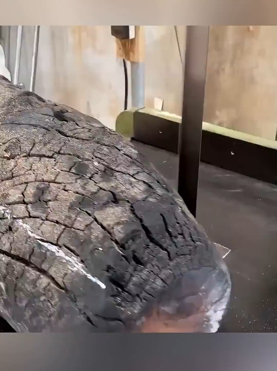 #fyp #foryou #foryoupage 