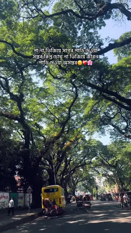 📌 #trending #foryoupage 