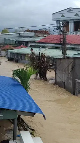 nước lũ quê em phường Qui Nhơn Bắc 