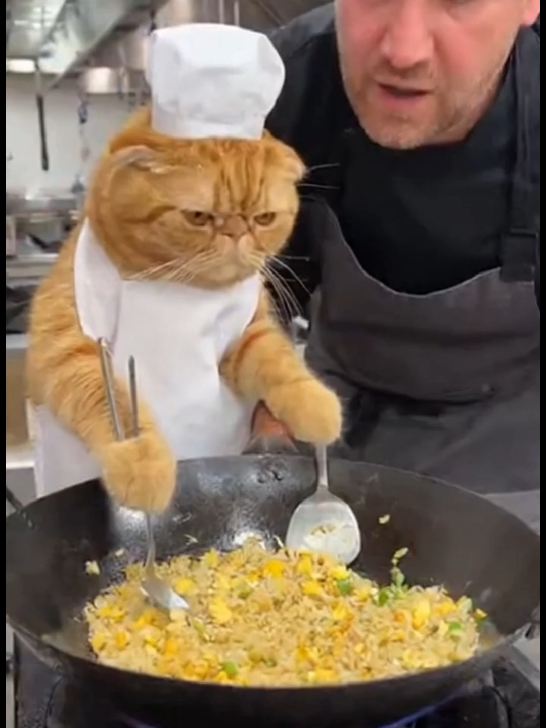 Kêu gọi tất cả những thằng anti InterLink lên đây đối chấp. Yêu cầu: 1. Show rõ mặt mũi, tên tuổi.. 2. Cung cấp bằng chứng InterLink scam... Đừng hèn nhát mà gõ phím ở dưới, hãy cản đảm mà đối mặt!! 99% ace biết kết quả rồi phải không? #nextgens #InterLink #ITLG #ActiveBountySS2 #interlinknetwork #interlinklabs #interlinkvietnam #antipi #antiInterLink #trend #sora