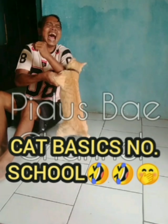 #fyppp_kucinglucu  #natural_vidios  #seni_dan_hiburan  #jangkauanluas 