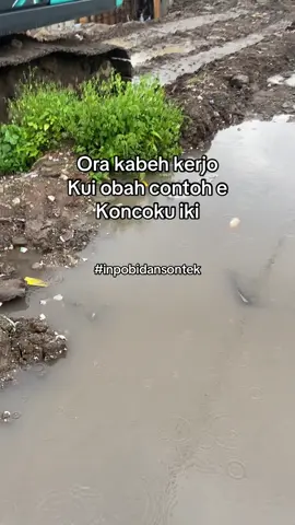 Terus-terusno 🤦‍♂️🤦‍♂️🤦‍♂️ @Mbah Bayan Trans  #opratoralatberat #alatberatjogja 