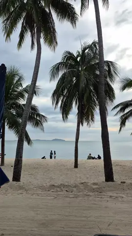 บางแสนกลับลมหนาวน้ำสวย 🌊🌬️ #บางแสน #ทะเล #ลมหนาว #ฟีดดดシ #ชลบุรี 