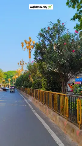 #rajshahi_city🌿 #সবুজের_শহর_রাজশাহী #প্রানের_শহর_রাজশাহী #foryou @For You House ⍟ @TikTok Bangladesh 