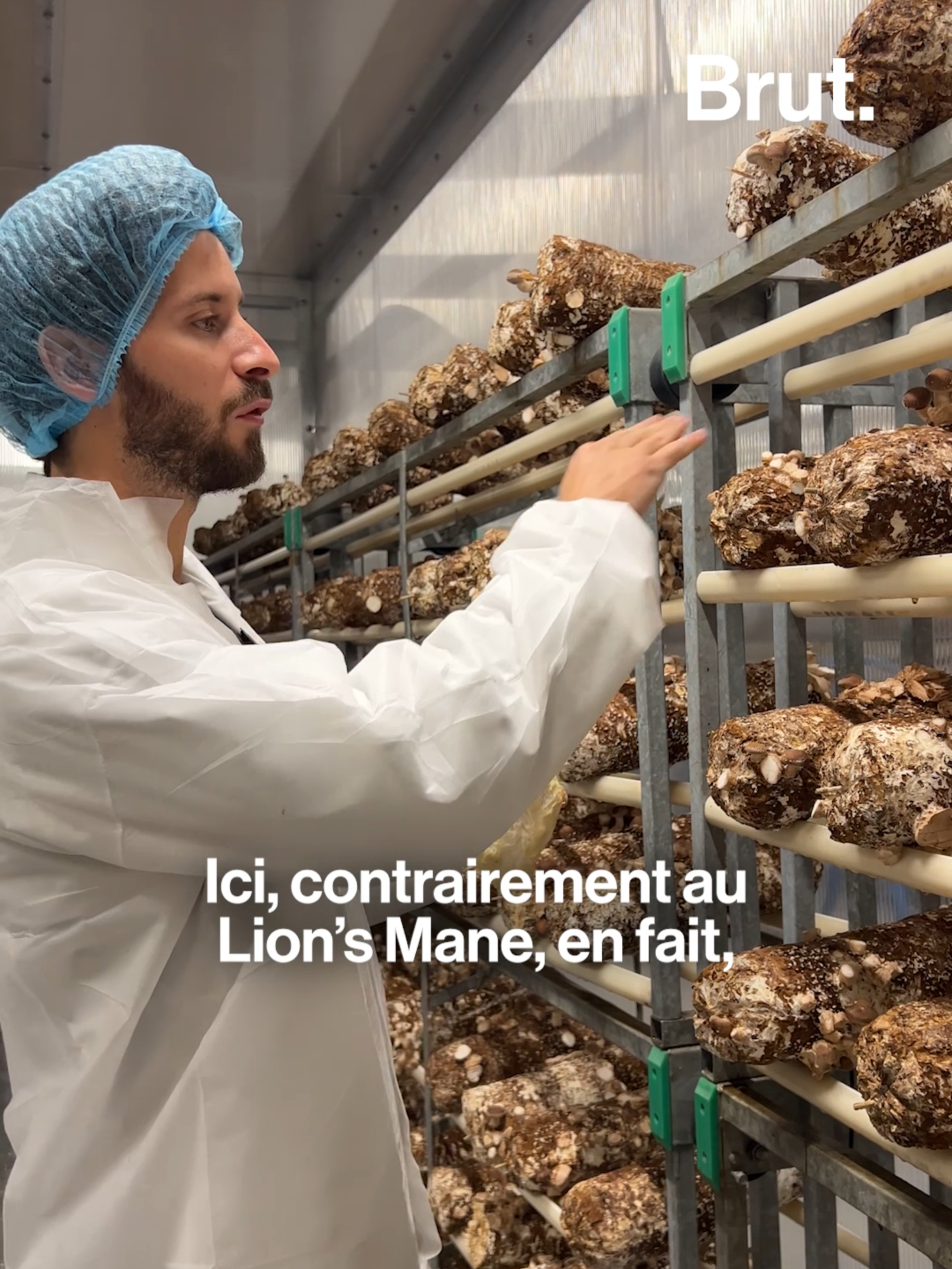 En Finlande, la cueillette et la culture des champignons sont une véritable tradition nationale. Direction le nord d'Helsinki, où on a retrouvé Antoine Alibert, fondateur de French Mush, chez l’un de ses producteurs pour découvrir comment ils sont cultivés et utilisés dans ses produits. En partenariat avec @frenchmush