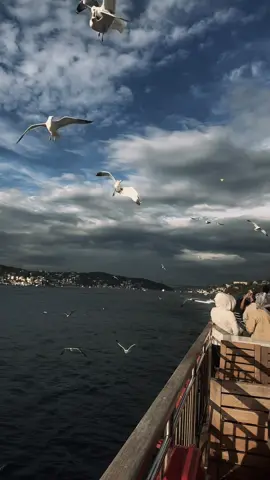 #مالي_خلق_احط_هاشتاقات 