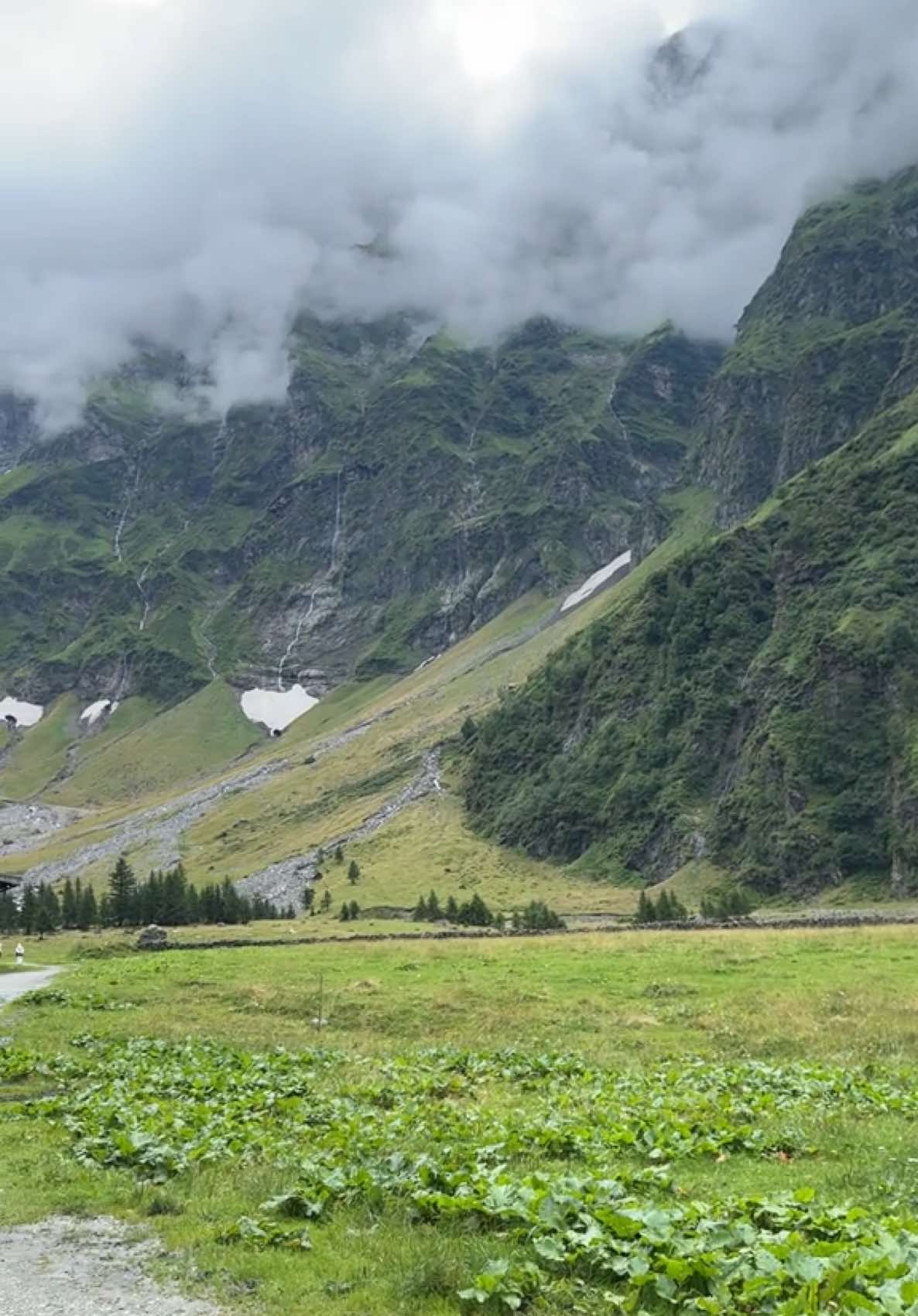 #النمسا🇦🇹 #هنترسي #fyp #like 