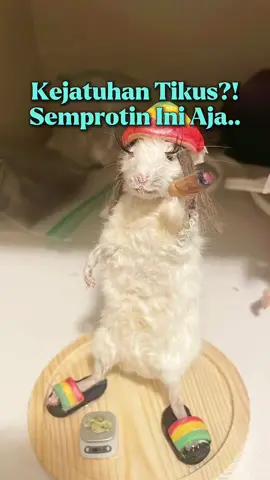 ngeri banget😱 daripada kejadian kayak gini mending langsung pakai ini deh!  #wiselieindonesian #antitikus #pengusirtikus #tikus #fyp 