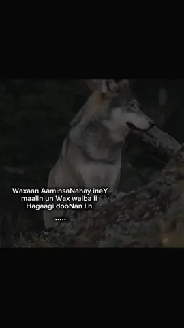 #fyb #viraltiktok #writer 