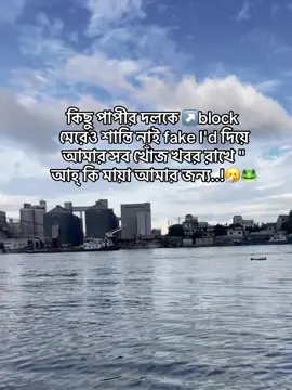 কিছু পাপীর দলকে ↗️block মেরেও শান্তি নাই fake I'd দিয়ে আমার সব খোঁজ খবর রাখে 
