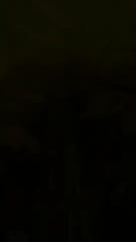 Bismillah 🤲, Menyediakan berbagai varietas bibit durian hasil okulasi 🌱    Ready stock :       Musangking        Duri Hitam        Bawor        Super Tembaga  Grosir dan eceran 🗺 Banyumas 📲 0895382761204  #durian #bibitdurian #petanidurian #petanimuda 