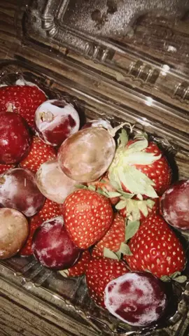 Pada tahun 1700-an, para ilmuwan dan petani Eropa menyilangkan dua strawberry liar dari benua yang berbeda. Satu membawa manis, satu membawa ukuran yang lebih besar dan dari pertemuan itu lahirlah strawberry yang kita kenal hari ini. Lucu rasanya, mengetahui buah kecil itu punya sejarah perjalanan sejauh itu. Tapi yang lebih lucu lagi adalah bagaimana aku yang tak pernah percaya pada kebetulan yang malah menyerahkan strawberry itu ke tangan seorang lelaki tampan sepertimu. Seakan-akan seluruh ribuan kilometer perjalanan strawberry itu hanya untuk sampai ke momen kecil ketika kamu tersenyum pelan, dan aku tiba-tiba lupa cara bernapas dengan damai  - karya verroniccaa_imutt 🍓 #strawbery #fypp #lirikanything #fyppliss #buahcetobeli 