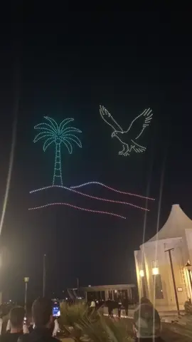 #فندق #الانبار #الدولي #