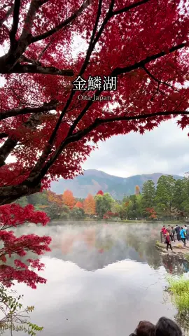 昼間に少し霧も出てて幻想的な湖で色付いた紅葉も素敵だった🍁#金鱗湖#湯布院#大分