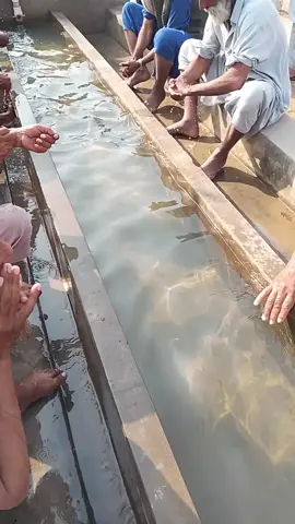 #mashallah #beautifuldestinations #creatorsearchinsightsviews2025 #viral #❤❤❤🤗🤗🤗🤗🤗❤️🥰💓❤️🤩❤️🤩❤️❤️🤩🎁💕💕✨💞✨💕🎁♥️❤❤❤❤ 