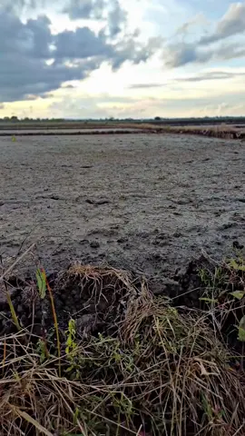 semoga selamat sampai akhir🌾🤲