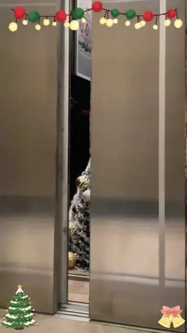 🐕:Merry Christmas 🎄 #dog #Christmas #fyp #happy #cute