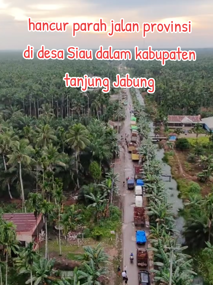 hancur parah jalan provinsi di desa Siau dalam kabupaten tanjung Jabung Timur  #tanjungjabungtimur #jambi #sabak #drone 