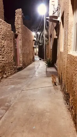 نهزم دائما أمام من نحب ليس لأنهم أقوياء بل لأن قلوبنا تقف في صفهم#اسئل #هيثم_يوسف #هيثم-يوسف