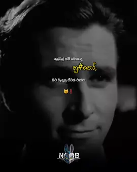 මට වැදුනු ඒවත් එක්ක 😼❗ #creatorsearchinsights #srilankatiktok #1millionaudition #foryou #noobpage1 
