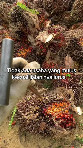 Kecuali orang tua nya kaya🌴 #soundviral #sawitontiktok #sawitjambi #petaniindonesia🇮🇩🇮🇩🇮🇩🌿🌿 #storysawit🌴🌴