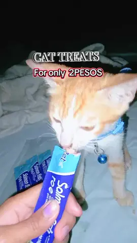 cat treats ba ang hanap mo? 😺🐈 dto lang yan saking yellow basket 🧺🫶  #cattreats #catslovers #catfood #fypシ゚ #affiliate 