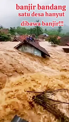 satu desa hanyut dibawa banjir bandang!!! #banjir  #banjirbandang  #bencanabanjir 