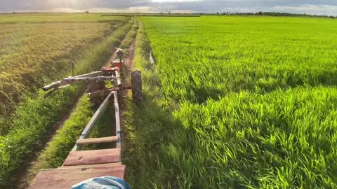 🤍🌾🥰#fyp #foryou #ព្រៃវែងផ្ទះខ្ញុំ 